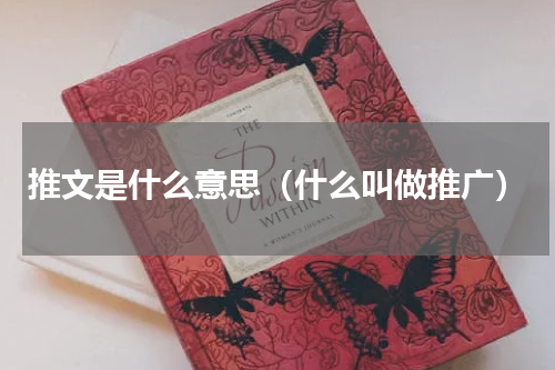 推文是什么意思（什么叫做推广）