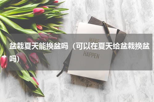 盆栽夏天能换盆吗（可以在夏天给盆栽换盆吗）