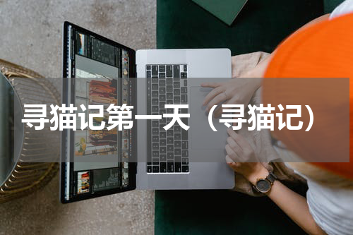 寻猫记第一天（寻猫记）