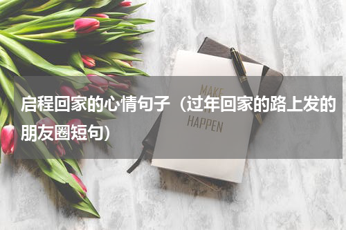 启程回家的心情句子（过年回家的路上发的朋友圈短句）