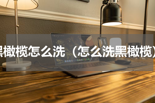黑橄榄怎么洗（怎么洗黑橄榄）