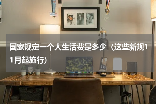 国家规定一个人生活费是多少（这些新规11月起施行）