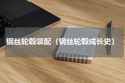 钢丝轮毂装配（钢丝轮毂成长史）