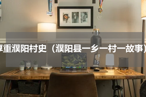 厚重濮阳村史（濮阳县一乡一村一故事）