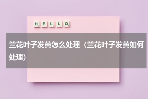 兰花叶子发黄怎么处理（兰花叶子发黄如何处理）