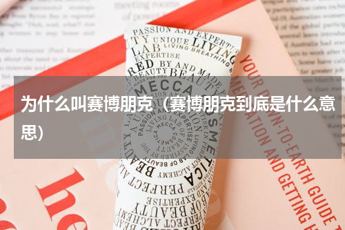 为什么叫赛博朋克（赛博朋克到底是什么意思）