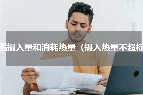 减脂摄入量和消耗热量（摄入热量不超标）