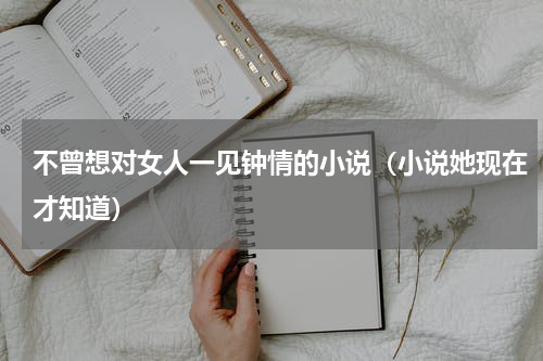 不曾想对女人一见钟情的小说（小说她现在才知道）