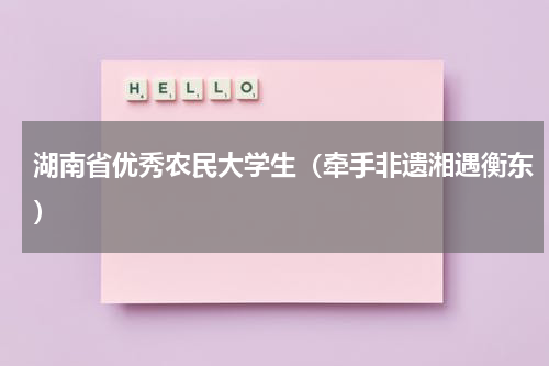 湖南省优秀农民大学生（牵手非遗湘遇衡东）