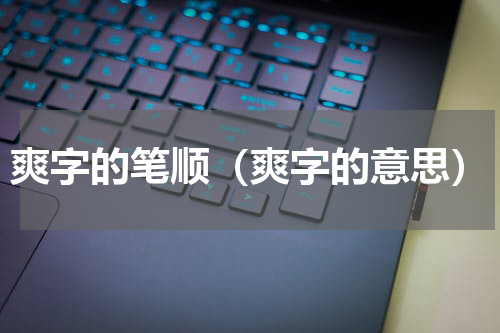爽字的笔顺（爽字的意思）