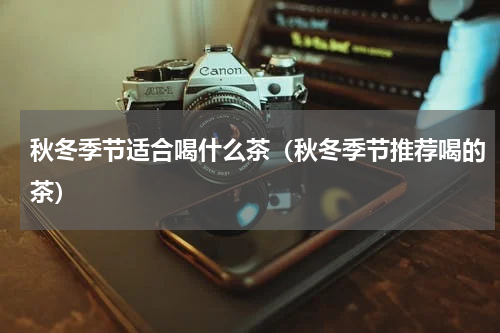 秋冬季节适合喝什么茶（秋冬季节推荐喝的茶）