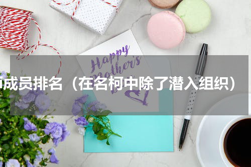 fbi成员排名（在名柯中除了潜入组织）