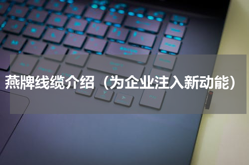 燕牌线缆介绍（为企业注入新动能）