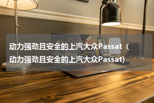 动力强劲且安全的上汽大众Passat（动力强劲且安全的上汽大众Passat）