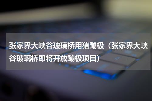 张家界大峡谷玻璃桥用猪蹦极（张家界大峡谷玻璃桥即将开放蹦极项目）
