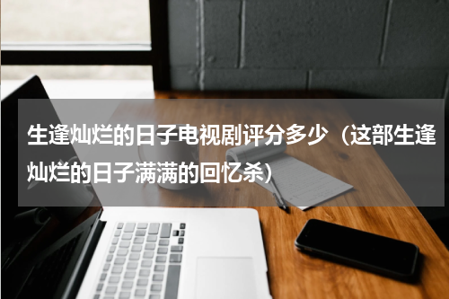 生逢灿烂的日子电视剧评分多少（这部生逢灿烂的日子满满的回忆杀）