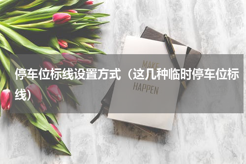 停车位标线设置方式（这几种临时停车位标线）