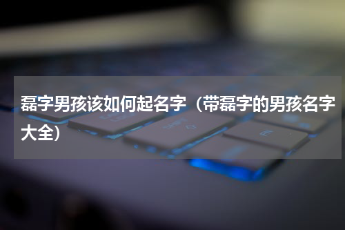 磊字男孩该如何起名字（带磊字的男孩名字大全）