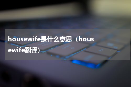 housewife是什么意思（housewife翻译）