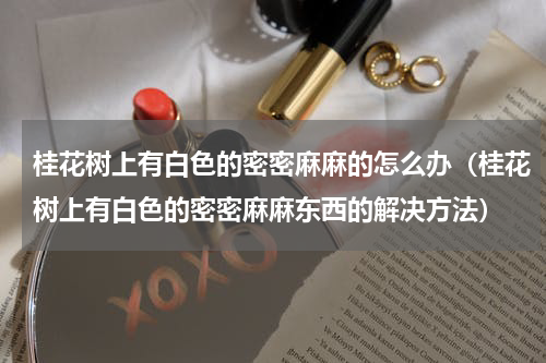 桂花树上有白色的密密麻麻的怎么办（桂花树上有白色的密密麻麻东西的解决方法）