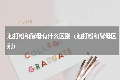 泡打粉和酵母有什么区别（泡打粉和酵母区别）