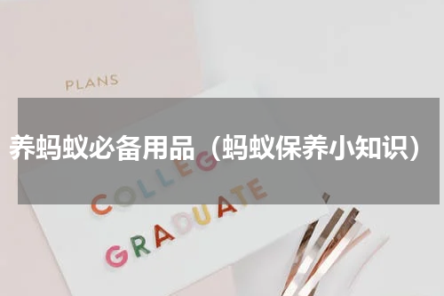 养蚂蚁必备用品（蚂蚁保养小知识）