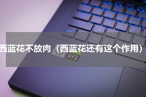 西蓝花不放肉（西蓝花还有这个作用）