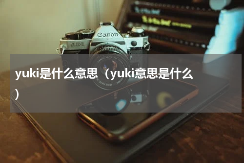 yuki是什么意思（yuki意思是什么）