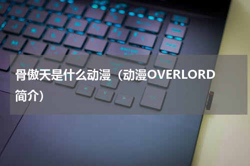 骨傲天是什么动漫（动漫OVERLORD简介）