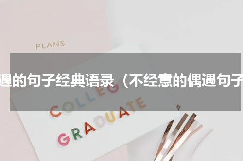 偶遇的句子经典语录（不经意的偶遇句子）