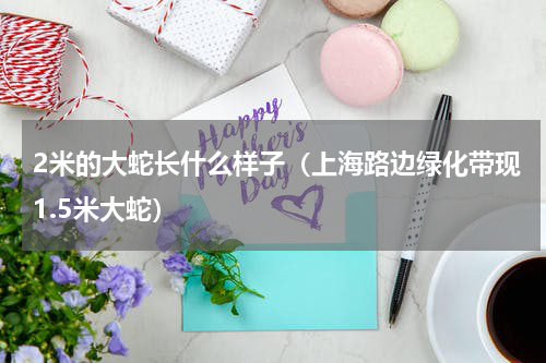 2米的大蛇长什么样子（上海路边绿化带现1.5米大蛇）
