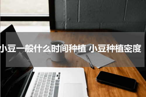 小豆一般什么时间种植 小豆种植密度