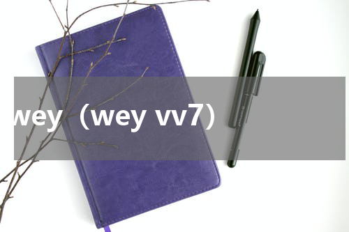 wey（wey vv7）