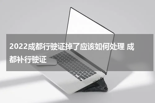 2022成都行驶证掉了应该如何处理 成都补行驶证