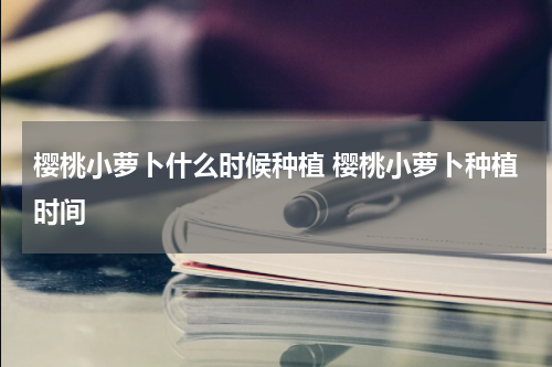 樱桃小萝卜什么时候种植 樱桃小萝卜种植时间