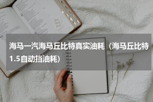 海马一汽海马丘比特真实油耗（海马丘比特1.5自动挡油耗）