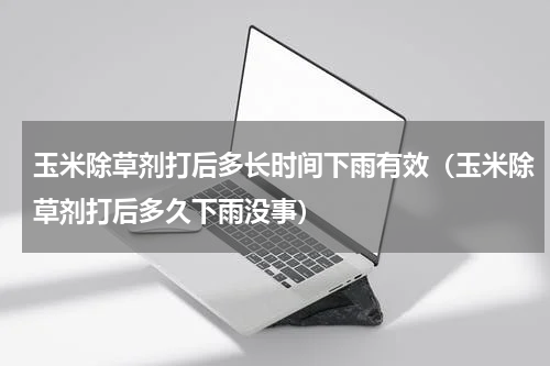 玉米除草剂打后多长时间下雨有效（玉米除草剂打后多久下雨没事）