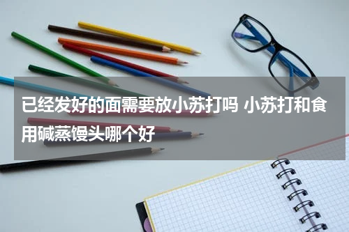 已经发好的面需要放小苏打吗 小苏打和食用碱蒸馒头哪个好