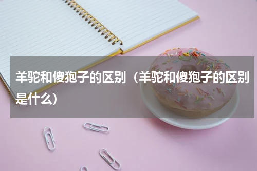 羊驼和傻狍子的区别（羊驼和傻狍子的区别是什么）