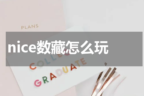 nice数藏怎么玩