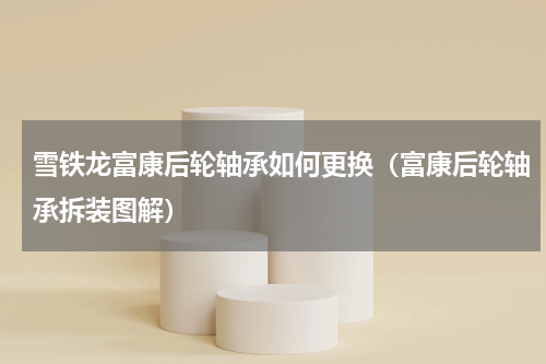 雪铁龙富康后轮轴承如何更换（富康后轮轴承拆装图解）