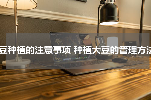大豆种植的注意事项 种植大豆的管理方法