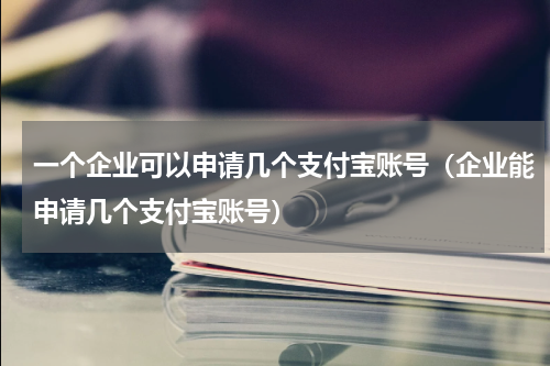 一个企业可以申请几个支付宝账号（企业能申请几个支付宝账号）