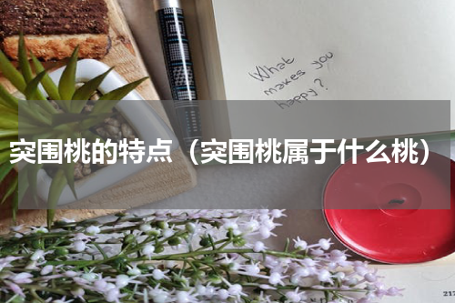 突围桃的特点（突围桃属于什么桃）
