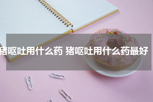 猪呕吐用什么药 猪呕吐用什么药最好