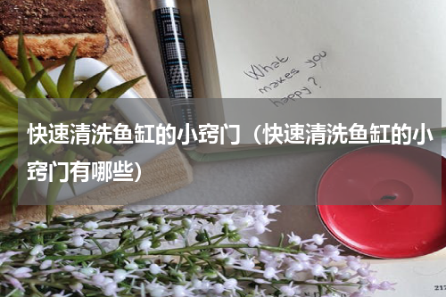 快速清洗鱼缸的小窍门（快速清洗鱼缸的小窍门有哪些）