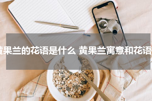 黄果兰的花语是什么 黄果兰寓意和花语
