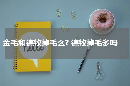 金毛和德牧掉毛么? 德牧掉毛多吗