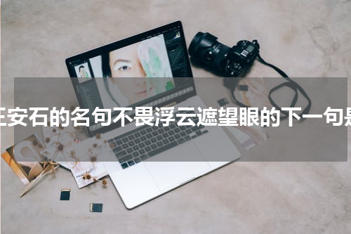 王安石的名句不畏浮云遮望眼的下一句是