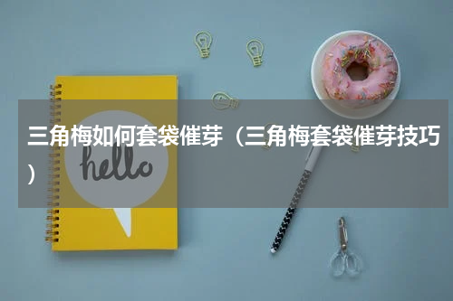 三角梅如何套袋催芽（三角梅套袋催芽技巧）